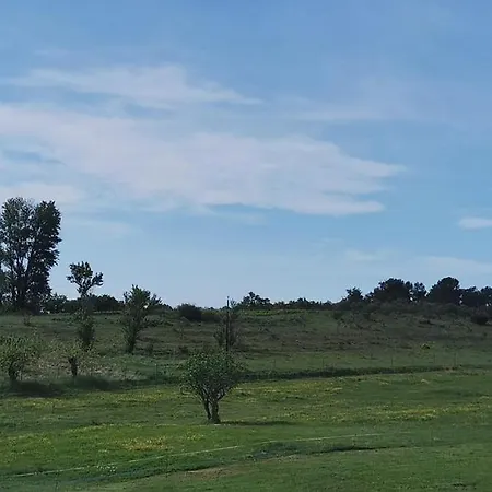 Le Domaine Du Grand Cru * Vagnas